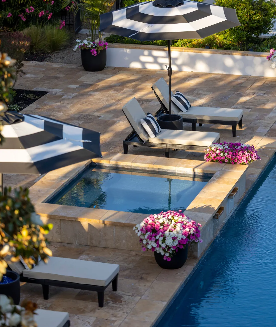 Luxury backyard pool with a raised spa, travertine deck, loungers and striped umbrellas